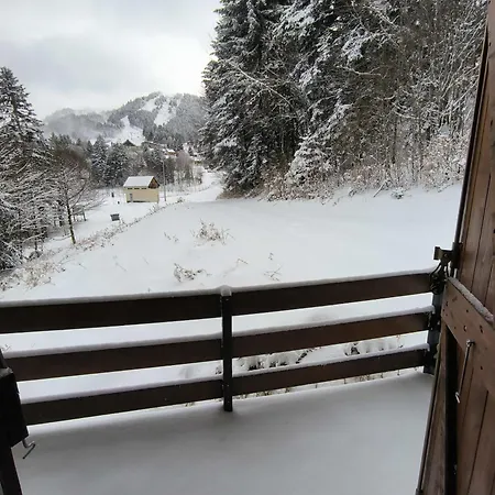 Un Refuge Chaleureux Au Coeur Du Mourtis