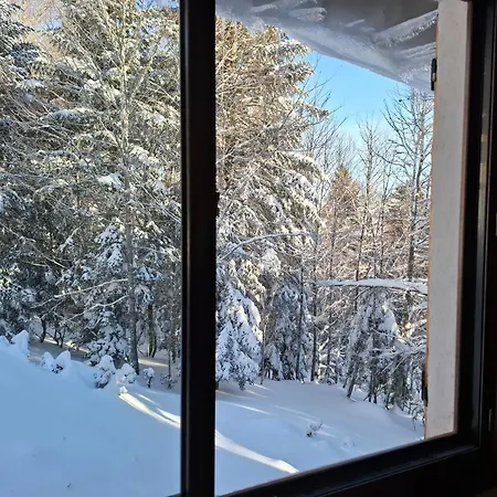 Chalet Un Refuge Chaleureux Au Coeur Du Mourtis Boutx