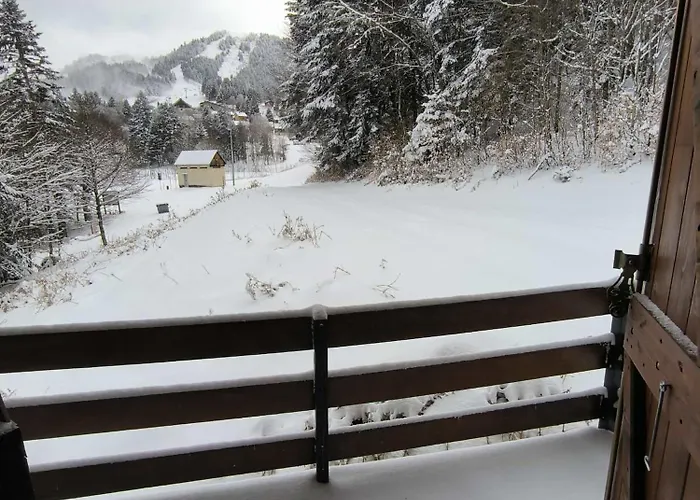 Un Refuge Chaleureux Au Coeur Du Mourtis